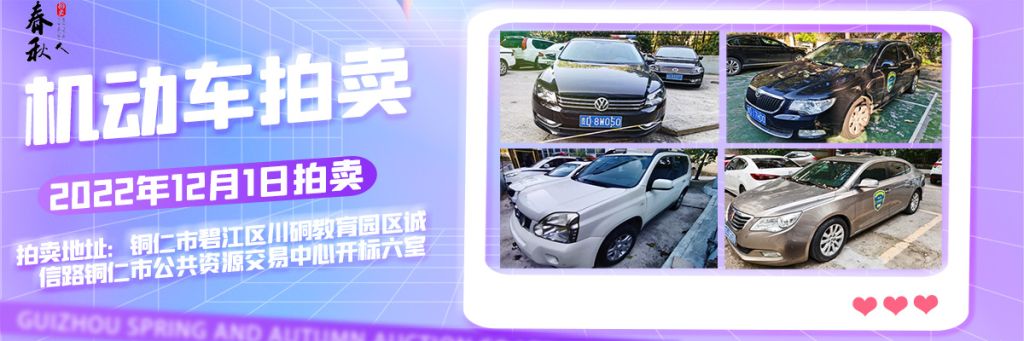 【12月01日】銅仁市15輛機動車拍賣公告